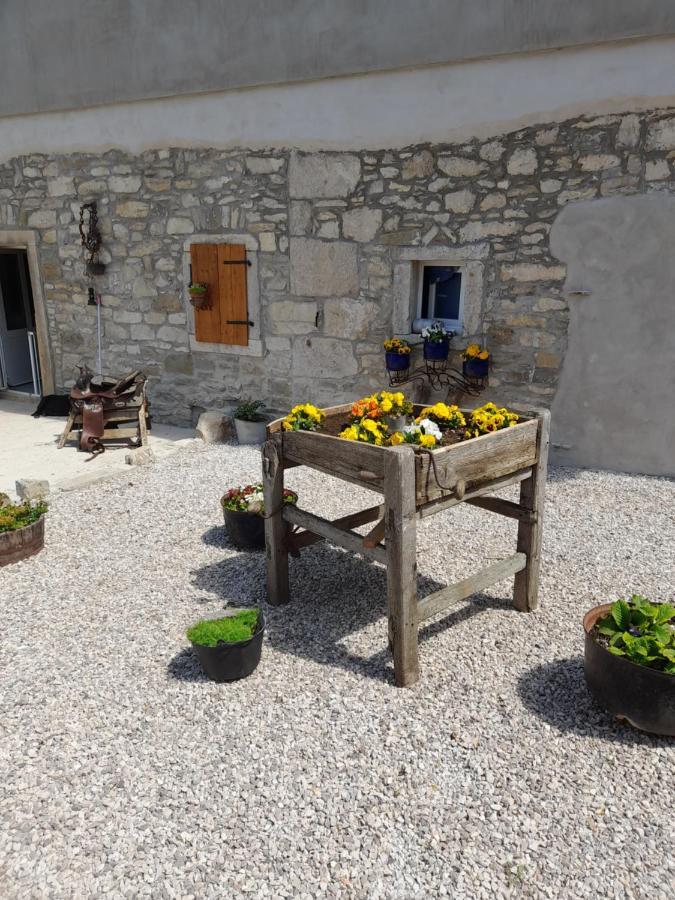 Kuca Za Odmor Lana Διαμέρισμα Kršan Εξωτερικό φωτογραφία